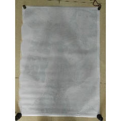 做个木材运输证